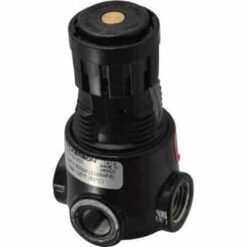 Ralph W Earl Co Inc R16-02-000 - Wilkerson Regulator - 1/4 NPT
